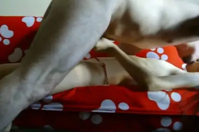 Live ABG Bispak Jakarta Hotel Bintang Lima Skandal Viral Indo Terbaru